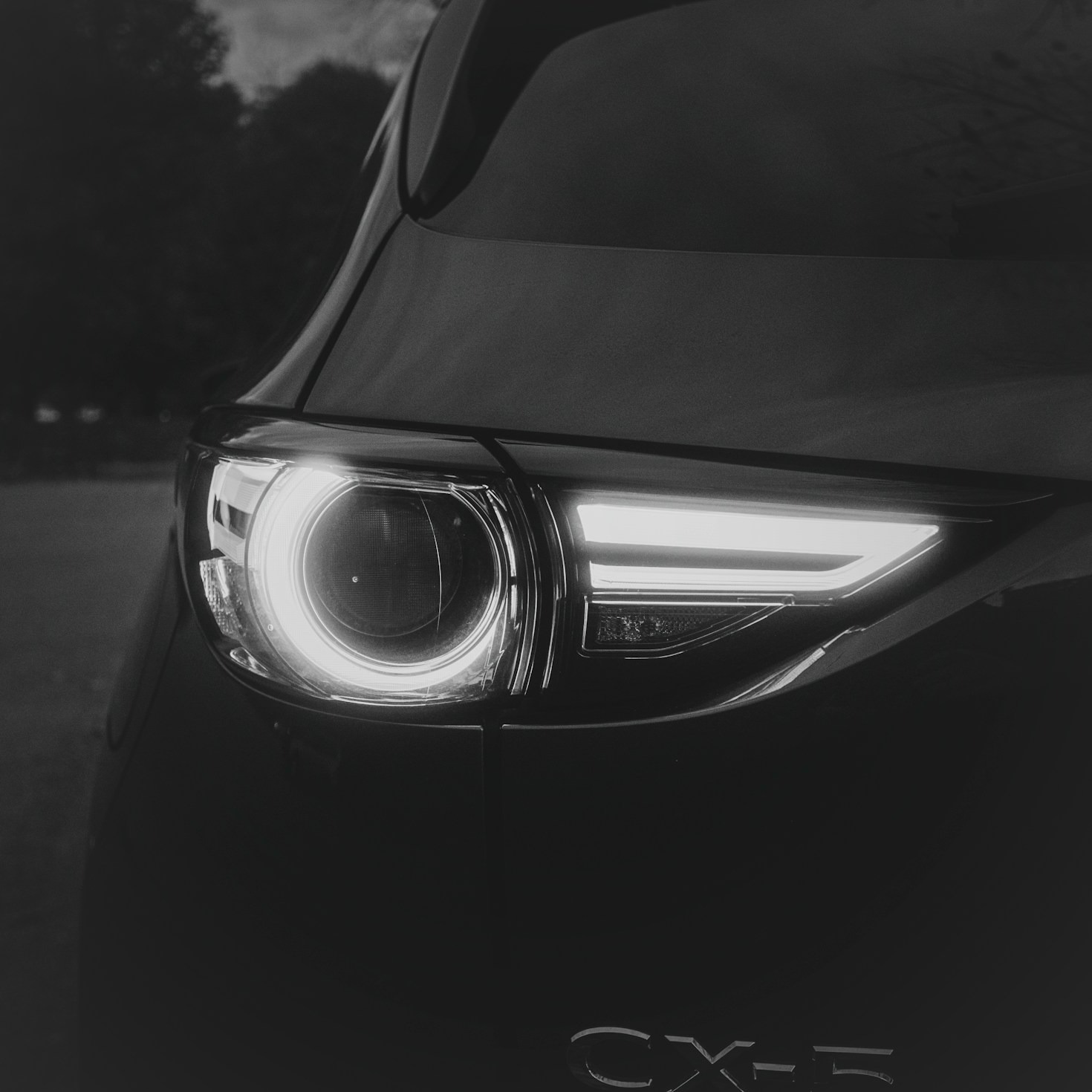 From Air to Sea: Aerovia’s Unparalleled Journey